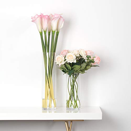 WGV Cylinder Glass Vase, Width 6", Height 12", [Different Heights Available] Clear Container Terrarium for Wedding Centerpiece, Party Event, Home Decor, 1 Piece - size: 6"x12"H