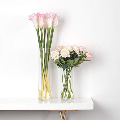 WGV Cylinder Glass Vase, Width 6", Height 12", [Different Heights Available] Clear Container Terrarium for Wedding Centerpiece, Party Event, Home Decor, 1 Piece - size: 6"x12"H