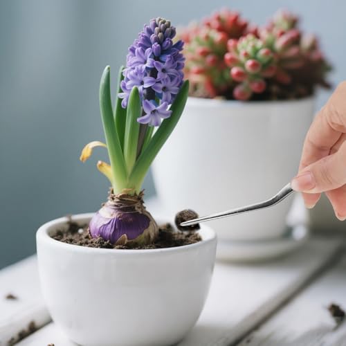 3pcs Plant Tweezers, Long Straight Stainless Steel Garden Bend Tongs Set Multi Purpose Tools for Gardening Bonsai and Reptile Feeding & Kitchen Use - style: A