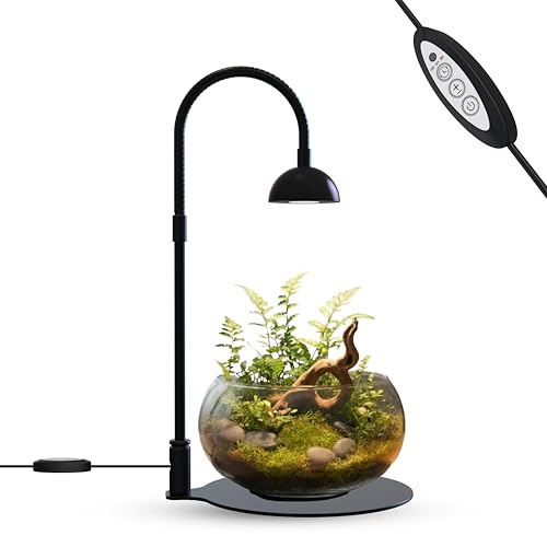 Desktop Grow Lamp Terrarium Light Plant Light on Table with Flexible Gooseneck Lamp for Terrarium Kitchen Vetegable Succulent Lamp with Auto Timer 3/6/12Hrs, 4 Brightness Levels (Black) - color: Black
