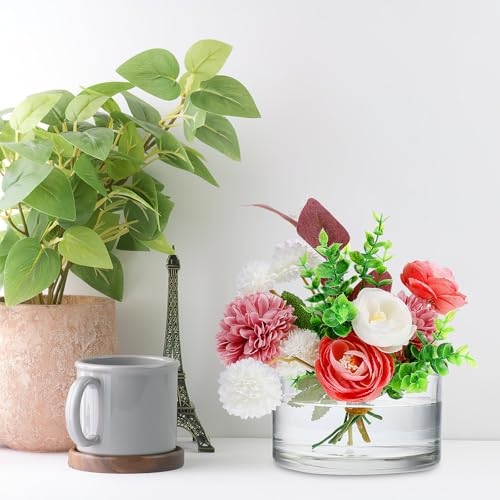 Toddmomy Clear Glass Terrarium Bowl 5.90In Round Glass Flower Pot for Hydroponics Planter Succulents Aquarium Display Home Party Wedding Table Decor