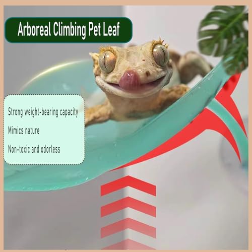 Crested Gecko Tank Accessories，Crested Gecko Hide，Frog Habitat Platform，Gecko Wall Climbing Toy &Reptile Branches（3PCS） (Light Blue) - color: Light Blue