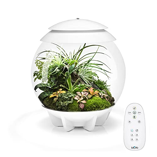 biOrb AIR 30, Fully Automated Terrarium for Arid, Temperate, or Tropical Plants, White - color: White
