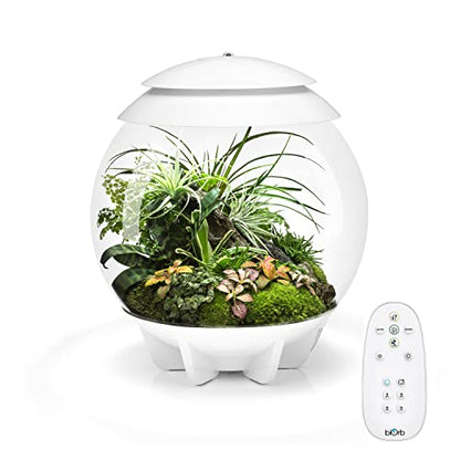 biOrb AIR 30, Fully Automated Terrarium for Arid, Temperate, or Tropical Plants, White - color: White