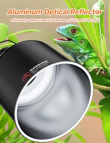 2-Pack 5.5 Inch Deep Dome Reptile Light Fixture with Clamp, ETL Certified E26 Ceramic Socket (100W), Aluminum UVA UVB Basking Lamp Holder for Terrariums, Bearded Dragons and Turtles