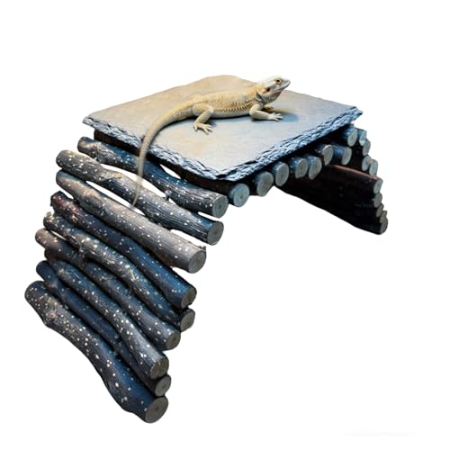 Bearded Dragon Tank Accessories - Natural Rock Basking Platform & Wooden Climbing Bridge Ladder Hideout, Habitat Décor for Tortoise, Snake, Gecko & Reptile Terrariums