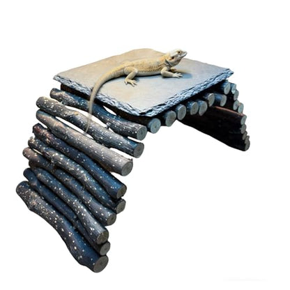 Bearded Dragon Tank Accessories - Natural Rock Basking Platform & Wooden Climbing Bridge Ladder Hideout, Habitat Décor for Tortoise, Snake, Gecko & Reptile Terrariums