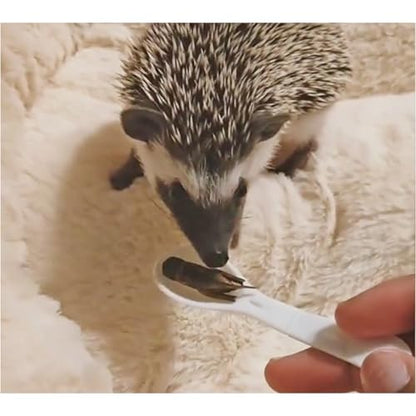 Canned Insect Assortment 6 Pack - Healthy High Protein Treat - For Hedgehogs, Sugar Gliders, Reptiles, Chickens, Lizards, Bearded Dragons, Turtles, Fish, Birds, Opossums, Skunks and other Insectivores