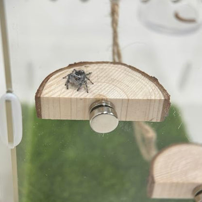 5pcs Handmade Spider Enclosure, Shelter Made of Natural Materials, Magnetic Hidden Jumping Spider Habitat