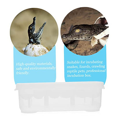 VANZACK Egg Hatching Incubator Box 12 Holes Gecko Incubator Reptile Hatchery for Snakes Lizards