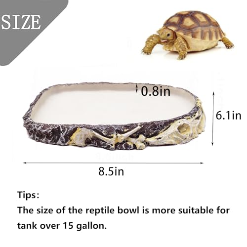 Tfwadmx Reptile Water Bowl, Reptile Feeding Dish, Bearded Dragon Water Dish, Turtle Feeding Bowl for Tortoises, Snakes, Lizards, Geckos, Chameleons - color: Bowl-1Pcs