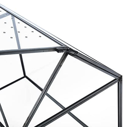 Geometric Glass Terrarium with Acrylic Lid, House Shape Black Terrarium with Breathing Holes for Snails, Succulent, Cacti, Air Plants, 10.3x8.3x5.9 inch (Terrarium Only)