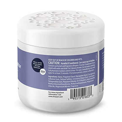 Amazon Basics Gel Odor Eliminator, Activated Charcoal, Lavender Scent, 17 Oz, 1-Pack - size: 17 Ounce (Pack of 1)