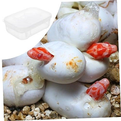Reptile Incubation Box Transparent Hatchery for Lizard Eggs Design Easy to Clean Lightweight and Compact for Reptile Breeding and Hatching