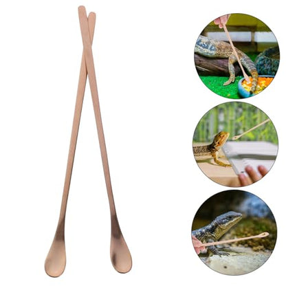TOYANDONA 2pcs Reusable Stainless Steel Reptile Food Spoon Ergonomic Feeding Tool for Small Pets for Lizards and Other Reptiles Design