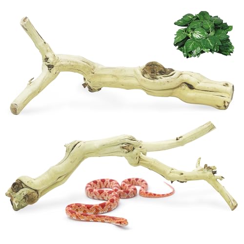 VCEPJH Snake Climbing Branch 3PCS Reptile Wood Natural Cork Log Terrarium Decor Bearded Dragon Tank Accessories Tree Trunk for Chameleon Gecko Ball Python Frog Panlong Wood (11.8-15.7in) - size: Panlong Wood (L:13.7"-15.7"-2pcs)
