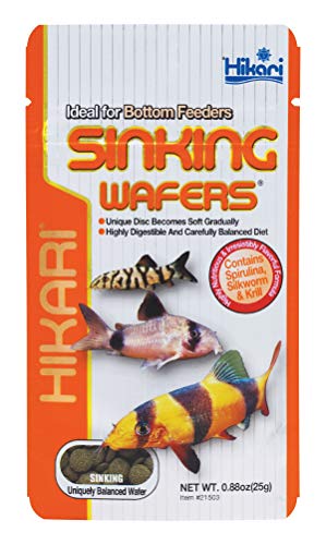 Hikari Tropical Sinking Wafers Fish Food, 0.88 oz (25g) - color: Black, size: 0.88 Ounce (Pack of 1)