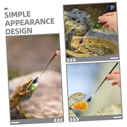 3pcs Small Reptile Feeding Spoon Lizard Food Scoop Multi-Functional Pet Spoon for Animals