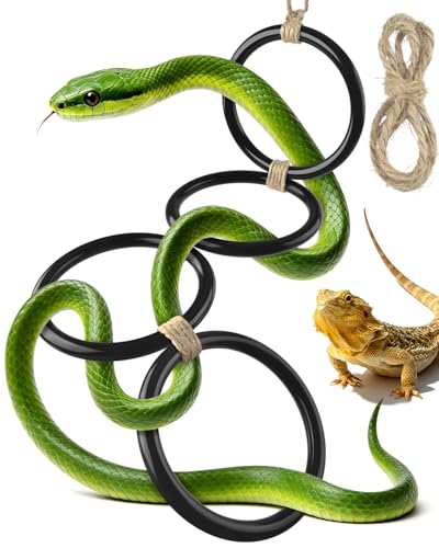 DBNESS Snake Climbing Rings, Ball Python Enclosure Enrichment Ring, Adjustable Playground Terrarium Decor Accessories for Corn Snakes, Garter Snakes, Iguana, Lizards, Chameleons, Parrot(Black) - color: Black