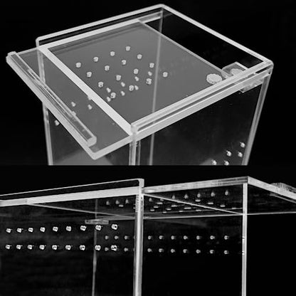 Small Acrylic Reptile Terrarium Kit, Acrylic Tank with Lid 3x3x6 Inch Clear Habitat Enclosure for Spider,Tarantula, Gecko, Hermit Crab, Frog and Insects Easy Assembly One-piece Leak-Proof - size: 5.9" x 2.95" x 2.95"