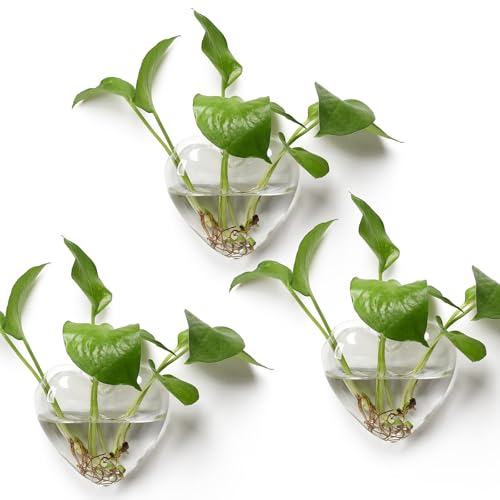 Wall Hanging Planter Propagation Station for Indoor Plants Glass Wall Plant Station for Flowers, Hydroponics PlantsBathroom, Home Office Living Room Decor - 3 Sets, Heart
