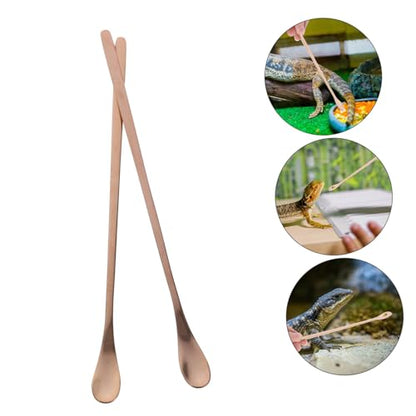 COLLBATH 2pcs Reusable Stainless Steel Reptile Food Spoon Lizard Feeding Scoop for Water and Food Pet Feeding Tool for Small Reptiles and Lizards - color: Golden