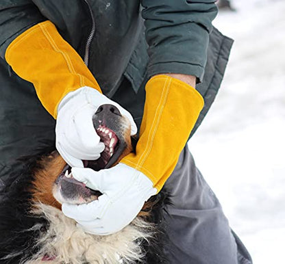 Suse's Kinder Animal Handling Gloves Leather Padding Dog,Cat Scratch,Bird Falcon Gloves Grabbing Reptile Squirrel Snake Bite - color: Yellow/White, size: X-Small