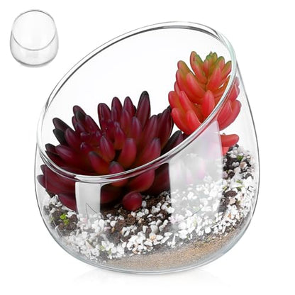 Homoyoyo Clear Glass Terrarium Bowl Vase Slanted Mouth Decorative Bowl for Succulents Moss Air Plants Small Indoor Planter for Desks Bookshelves Home Centerpieces 4.72 X 4.33 X 3.93 in