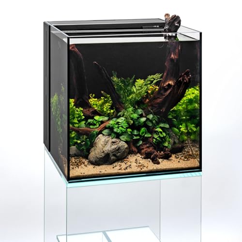 Ultum Nature Systems Driftwood - Malaysian Drift Wood for Fish Tank, Planted Tank, Terriarium, Paludarium - Versatile Natural Driftwood Decor, Events Wood Centerpiece - Malaysian, S 8-12", 5 Pack - size: 8-12" 5-Pack