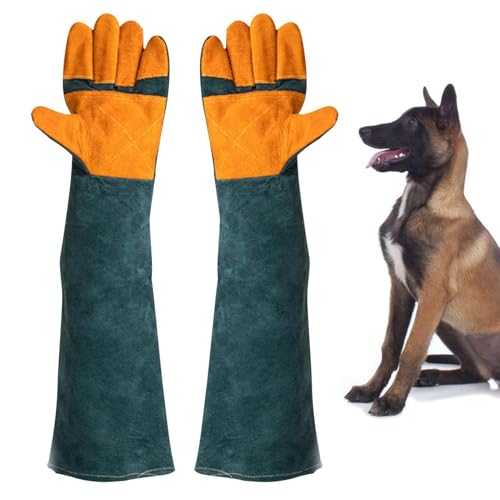 suade Gauntlet Protectors - Animal Handling Gloves, High Temperature Oven Grill Stove Shield, Cut Resistant Accessory Case - color: C