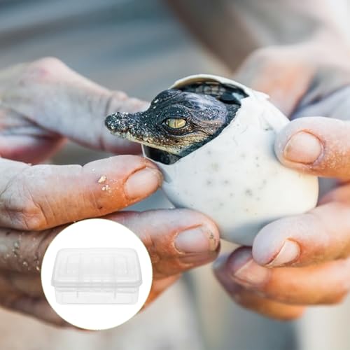 Reptile Egg Incubator Tray 16 Compartment Egg Hatching Box for Tortoise Lizard and Transparent Breeding Tray for Easy Observation 6.57 X 4.84 X 2.36 in 2 Pack