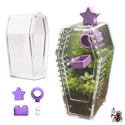 Jumping Spider Enclosure Kit, Accessories Terrarium 6PCS-Purple | Purple Water Feeder, Star Hide, Air-Permeable, Gap-Free Design, Escape-Proof for Tarantula, Beetle and Small Reptiles - color: Purple