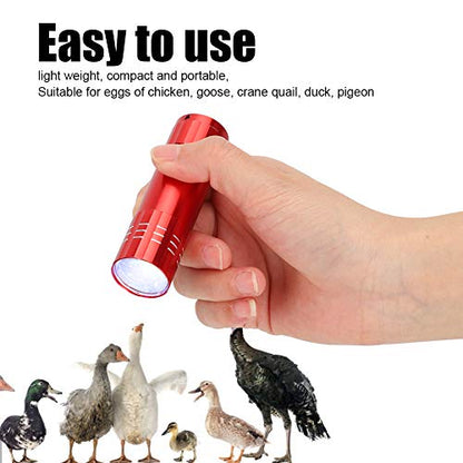 Egg Candler, Cool Light Portable Egg Candling Lamp with High Intensity Light, for Chicken, Goose, Duck, Eggs, Incubation Learning (Red)