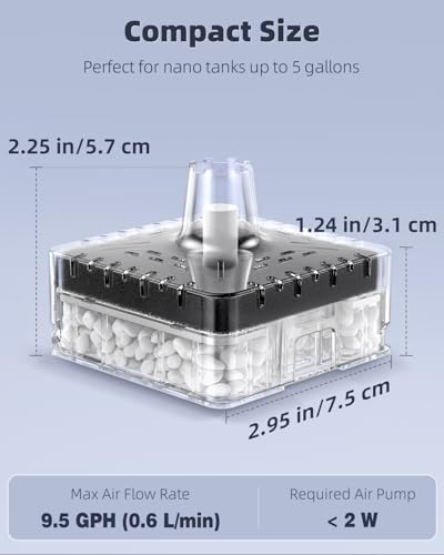 Pawfly Aquarium Sponge Filter, Small Fish Tank Filter with Foam and Air Stone, Sponge Filter for Fish Tanks up to 5 Gallons (Air Pump Not Included)