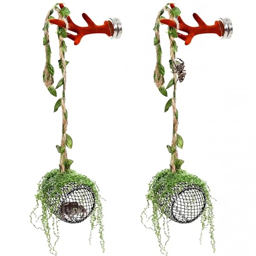 5Pcs Jumping Spider Enclosure Accessories with Hammock, Magnetic Climbing Rope, Resting Ledge Platforms and Feeding Dish Bowl & Hook for Terrarium Habitat (Two Hammocks) - color: Two Hammocks