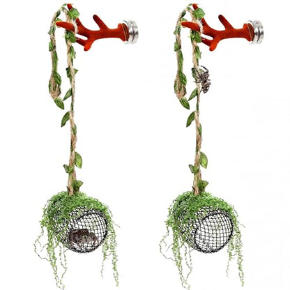 5Pcs Jumping Spider Enclosure Accessories with Hammock, Magnetic Climbing Rope, Resting Ledge Platforms and Feeding Dish Bowl & Hook for Terrarium Habitat (Two Hammocks) - color: Two Hammocks
