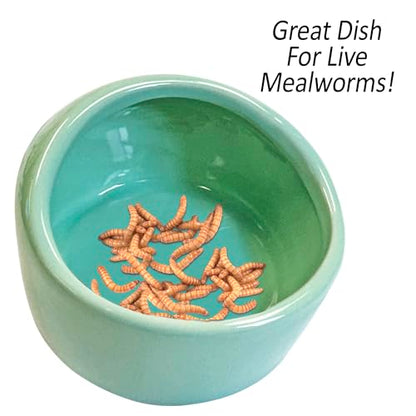 Exotic Nutrition No-Tip Ceramic Feed Station - Durable Ceramic & No Escape Feed Dish - Hamsters, Hedgehogs, Chinchillas, Rats, Ferrets, Guinea Pigs, Rabbits, Squirrels, and Reptiles (Pink) - color: Pink