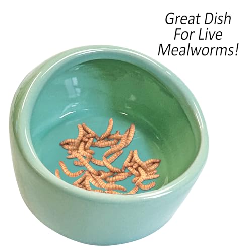 Exotic Nutrition No-Tip Ceramic Feed Station - Durable Ceramic & No Escape Feed Dish - Hamsters, Hedgehogs, Chinchillas, Rats, Ferrets, Guinea Pigs, Rabbits, Squirrels, and Reptiles (Green) - color: Green