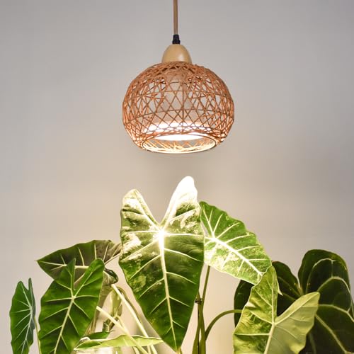 Hanging Grow Light for Indoor Plants 18W | Full Spectrum Plant Light, With 4H/9H/14H Timer, Boho Rattan Shade, 3800K Hanging Lights for Indoor Plants - size: Rattan Lantern-Hanging