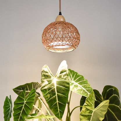 Hanging Grow Light for Indoor Plants 18W | Full Spectrum Plant Light, With 4H/9H/14H Timer, Boho Rattan Shade, 3800K Hanging Lights for Indoor Plants - size: Rattan Lantern-Hanging