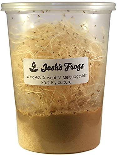 Josh's Frogs Drosophila Melanogaster Fly Culture, 32 oz - Freshly Started | Wingless Live Feeder Insects for Dart Frogs, Fish, Mantids, Toads, Slings, and Other Reptiles, Amphibians, or Animals - color: Melanogaster