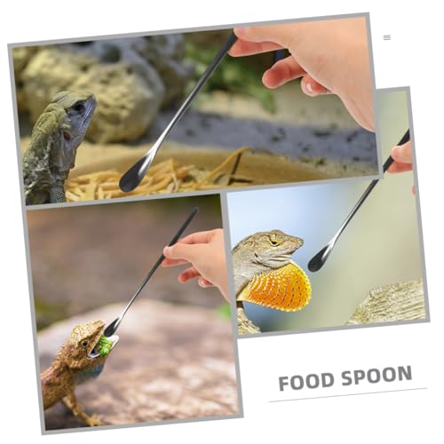 Toddmomy 3pcs Reptile Food Spoon Lizard Feeding Spoon for Wet Food Reptile Dish Tool Pet Supply
