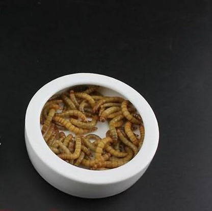 OMEM Worm Dish Mini Reptile Food Bowl Ceramics Made Mealworms Bowls Anti-Escape for Lizard Gecko Leopard Bearded Dragon (L) - size: L