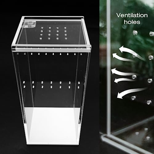Small Acrylic Reptile Terrarium Kit, Acrylic Tank with Lid 3x3x6 Inch Clear Habitat Enclosure for Spider,Tarantula, Gecko, Hermit Crab, Frog and Insects Easy Assembly One-piece Leak-Proof - size: 5.9" x 2.95" x 2.95"