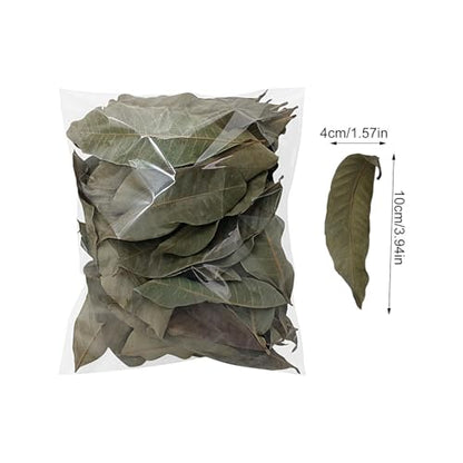 Longan Leaf Litter - Natural Pet Habitat Leaves Pack 50 Pieces, Soft Turtle Leaf Bedding Design | Clean Aquarium Foliage Cover for Frogs Fish Snakes Shrimp Lizards Tortoises Home Use