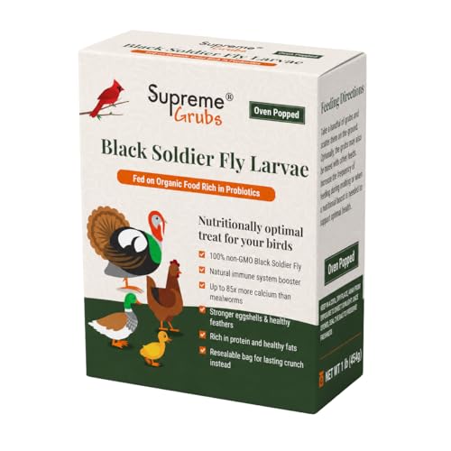Natural Black Soldier Fly Larvae for Chickens, 85X More Calcium Than Mealworms-High Protein Grub Food Chicken Treats for Hens, Probiotic & Calcium Rich Chicken Feed, Bird Treat 1lb - size: 1 Pound