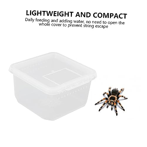 Angoily 2pcs Box Mini Reptile Container Insect Container Spider Box for Feeding Breathing - color: Transparentx2pcs, size: 12X12X7CMx2pcs