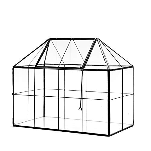 Large Glass Terrarium House Planter – Succulent Plant Glass Greenhouse with lid 9.8"X7.9"X5.9" NA