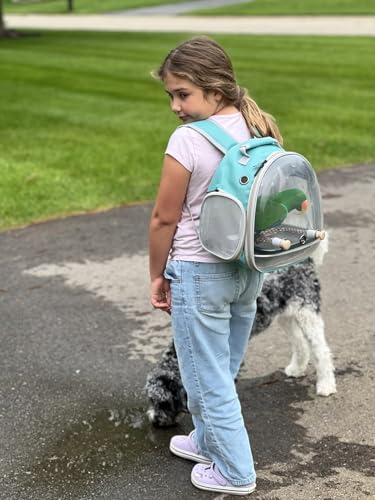 Small Bird Travel Backpack Carrier Cage, Backpack to Transport Backpack Carrier with Metal Tray Stand Perch for Parakeet Cockatiel Budgies Vet Carry Book Bag - color: Green