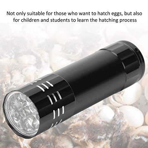 GLOGLOW Egg Candler, Bright LED Light Egg Candler Tester with Lanyard for Chickens, Ducks, Geese, Portable and Adjustable Egg Monitoring for Farmers, Hobbyists, Researchers, Educators